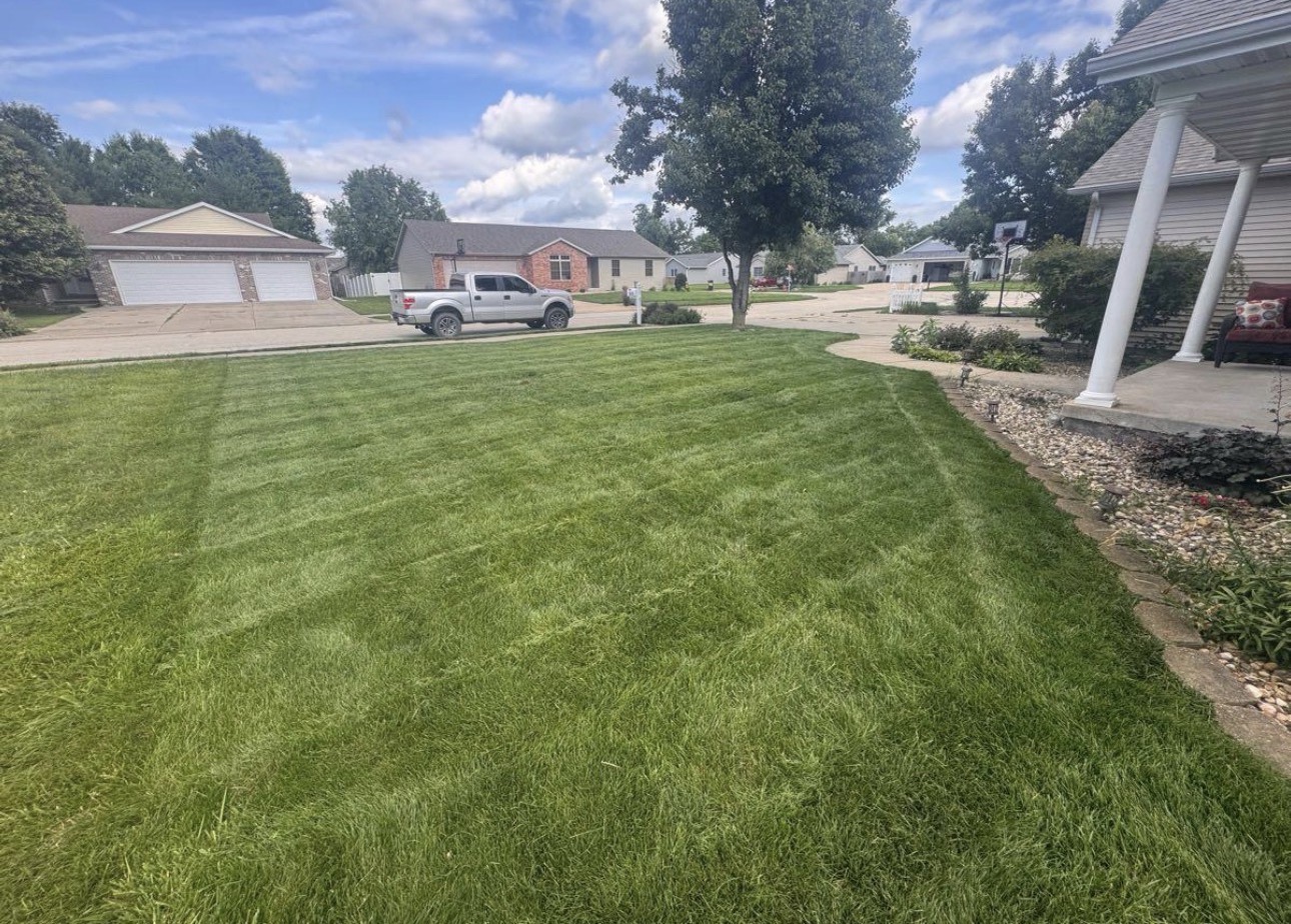 Freshly cut side yard with clean mowing lines