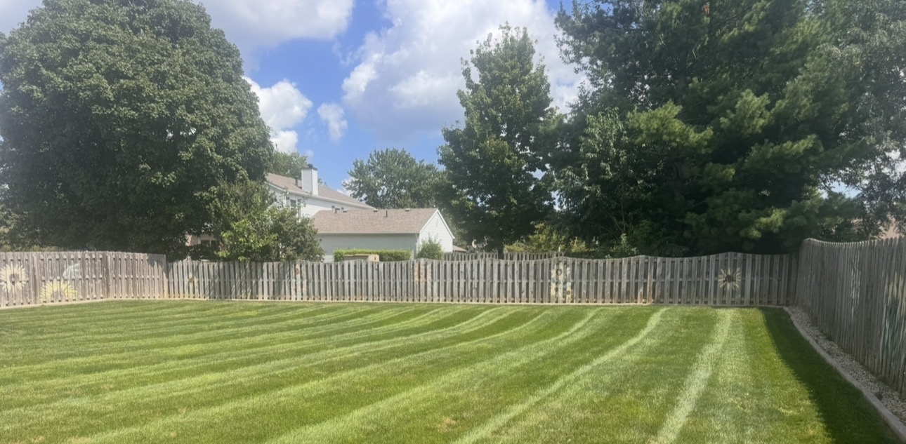 Green backyard with crisp curved mowing stripes
